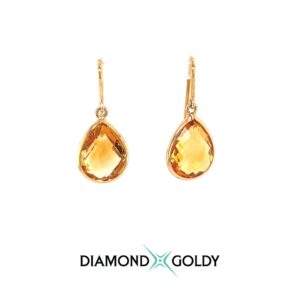 Eeha Colorstone Earrings